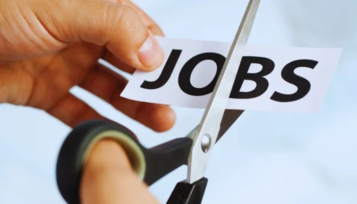 Pay TV homes fall by 40 mn, 1.14-1.95 lakh job cut at local cable operators since 2018