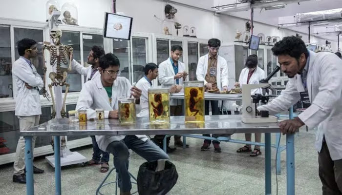 Unpaid and overworked: MBBS interns battle stipend violations, court hearing in July