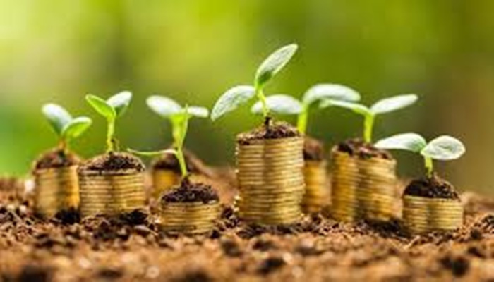 “You don’t need a huge salary to be happy”: Gurgaon man redefines what financial success really means