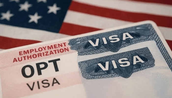 Job offer or US visa risk? F-1 OPT student caught in career crossroads