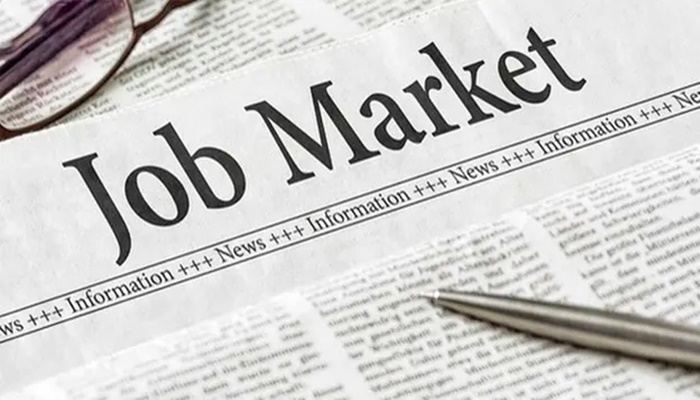 A Career Roadmap for Engineering Students: From College Confusion to Job Market Clarity