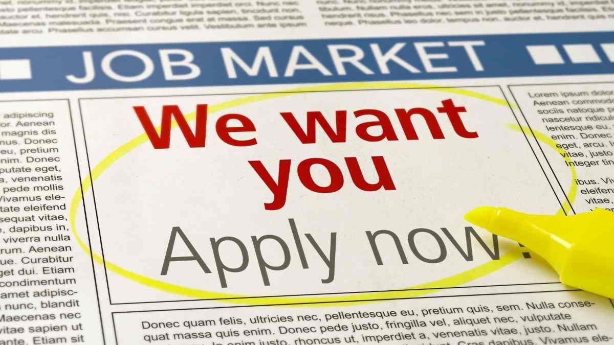 Ghost job ads surge: Firms use fake listings for market data, branding; experts flag 25% annual rise