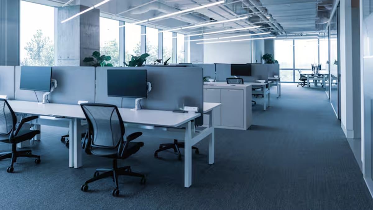 Shocker! This company doesn't offer casual, sick leaves anymore