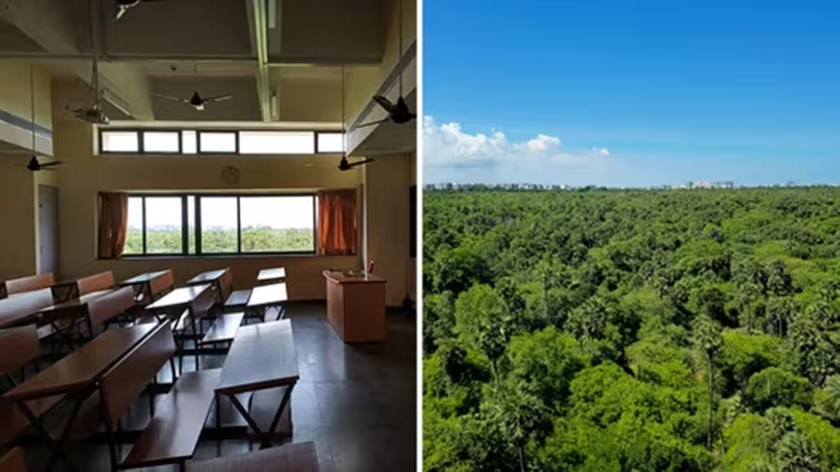 Ex-FAANG employee leaves ₹56 LPA job to do PhD in maths, becomes a professor