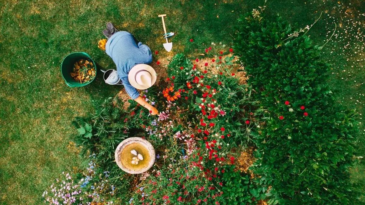 How To Tend Your Workplace Culture Like A Living Ecosystem