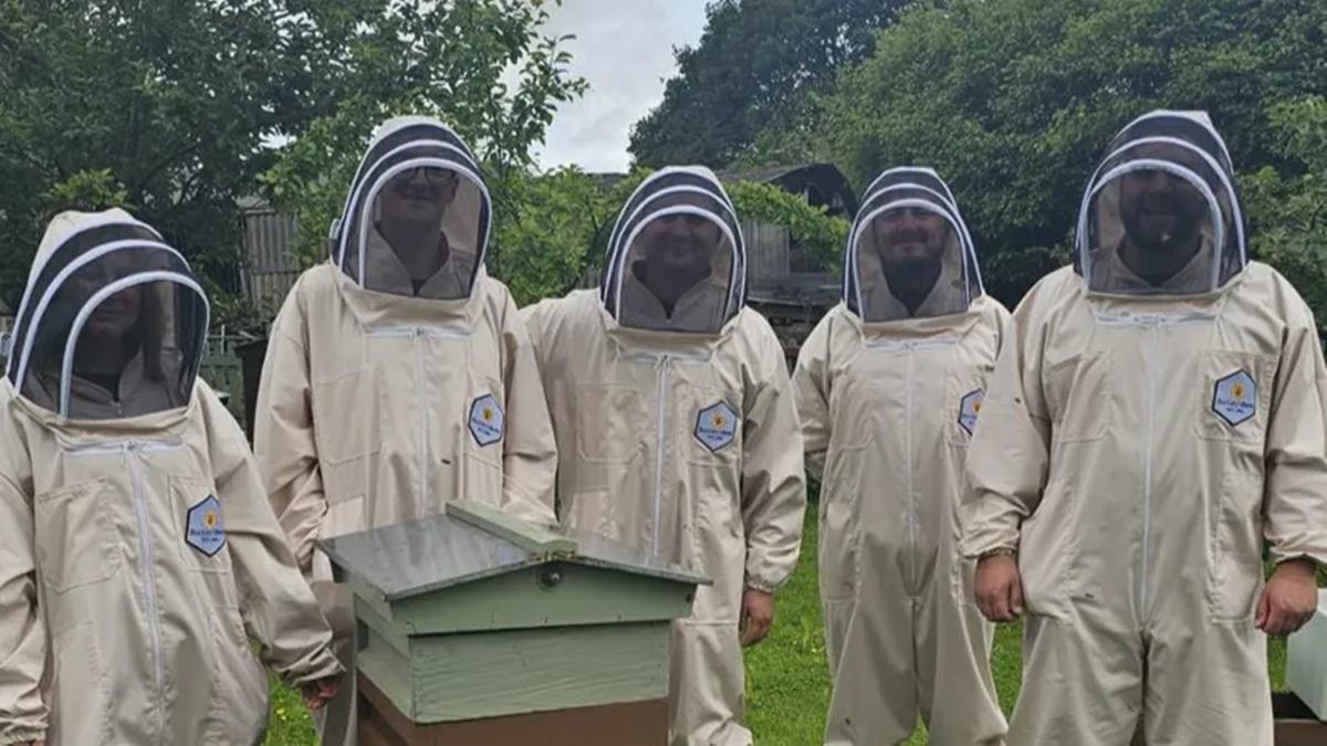 Is beekeeping the latest employee wellbeing trend?
