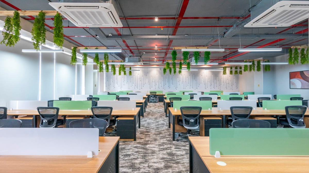 80% IT ‘slaves’ in Bangalore will lose jobs to AI in 3 years: Bengaluru insider reveals who will be spared and why