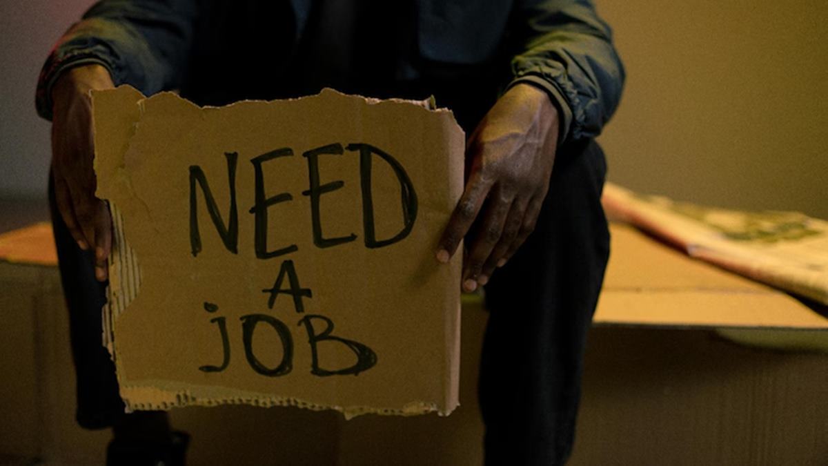 AI jobs are growing, so why are freshers getting shut out? LinkedIn reveals why