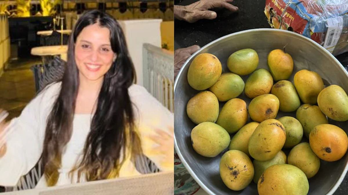 'He's sitting in London...': Mumbai employee shares how boss sent two full boxes of mangoes to her doorstep