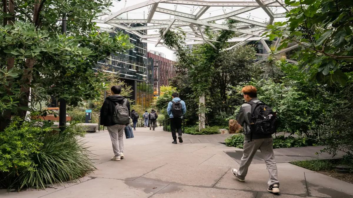 The new Amazon: How employees are navigating AI, RTO, and a shifting culture