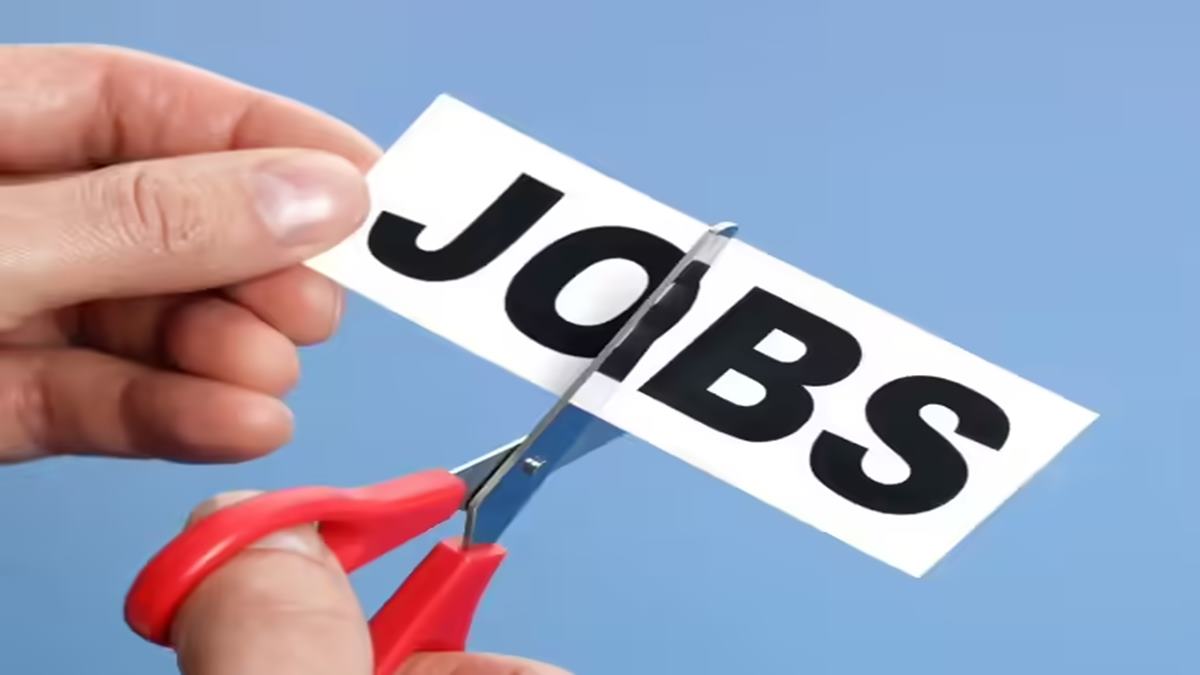 Laid off employee finally sees hope after interview call. But then recruiter's disappearance exposes the reality of job market