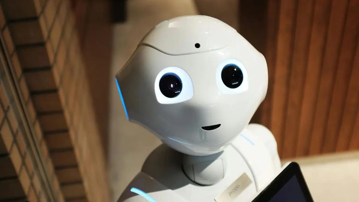 'Last 12 months left': Microsoft's AI CEO puts all white collar jobs on notice