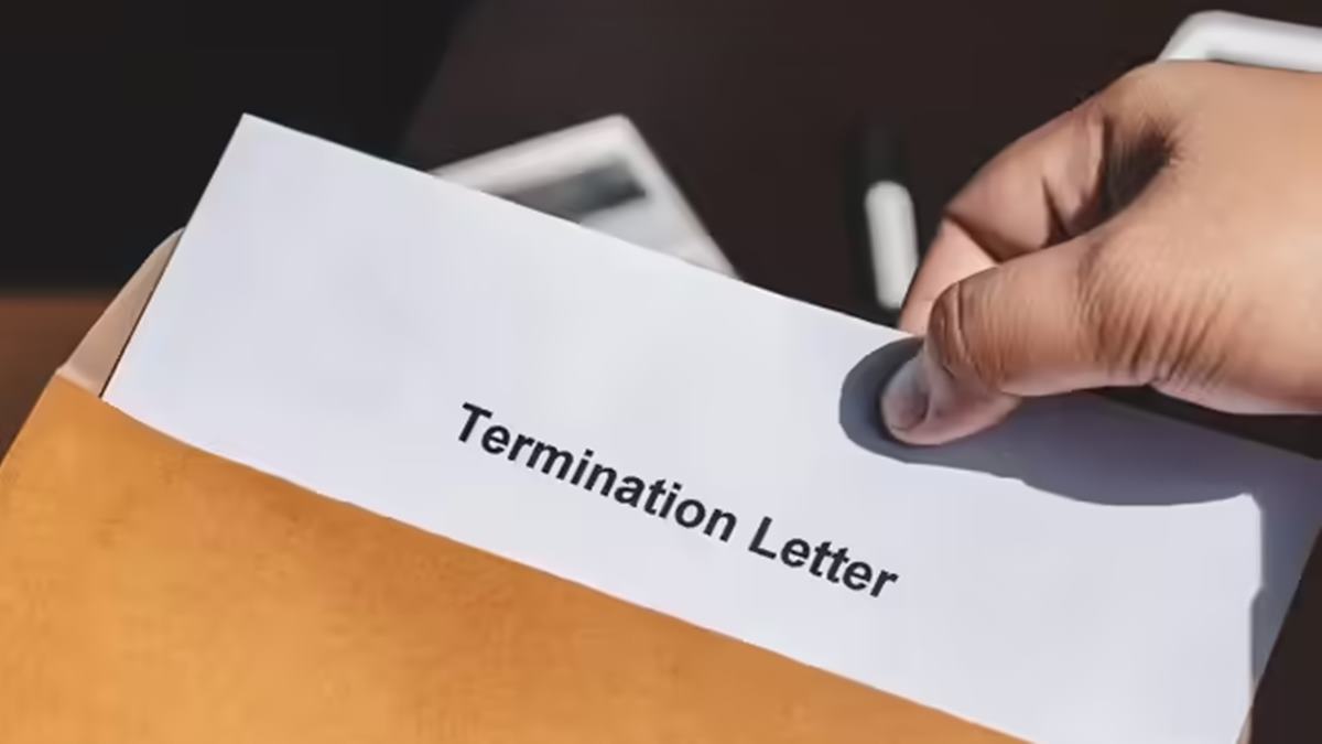 Employee traumatised by sudden firing gets the last laugh. Company comes running back 6 months after termination