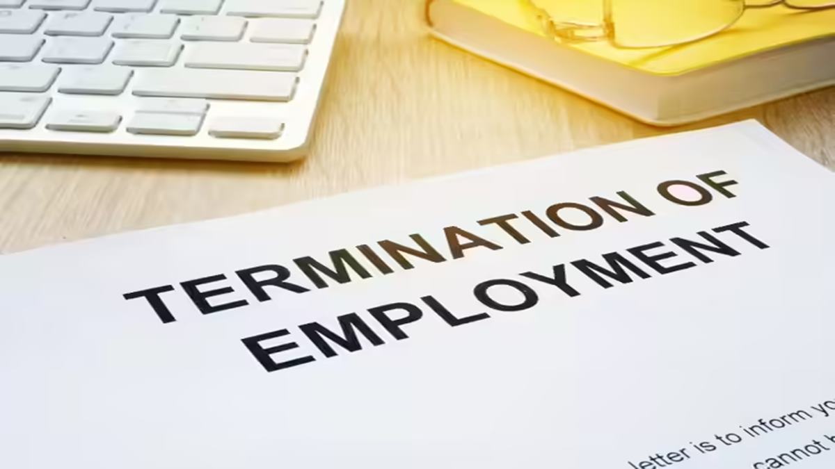 Employee tried to leave professionally, gave two weeks’ notice, then HR fired him abruptly, calling it ‘common practice’; ‘Protect yourself,’ career coach warns corporate workers