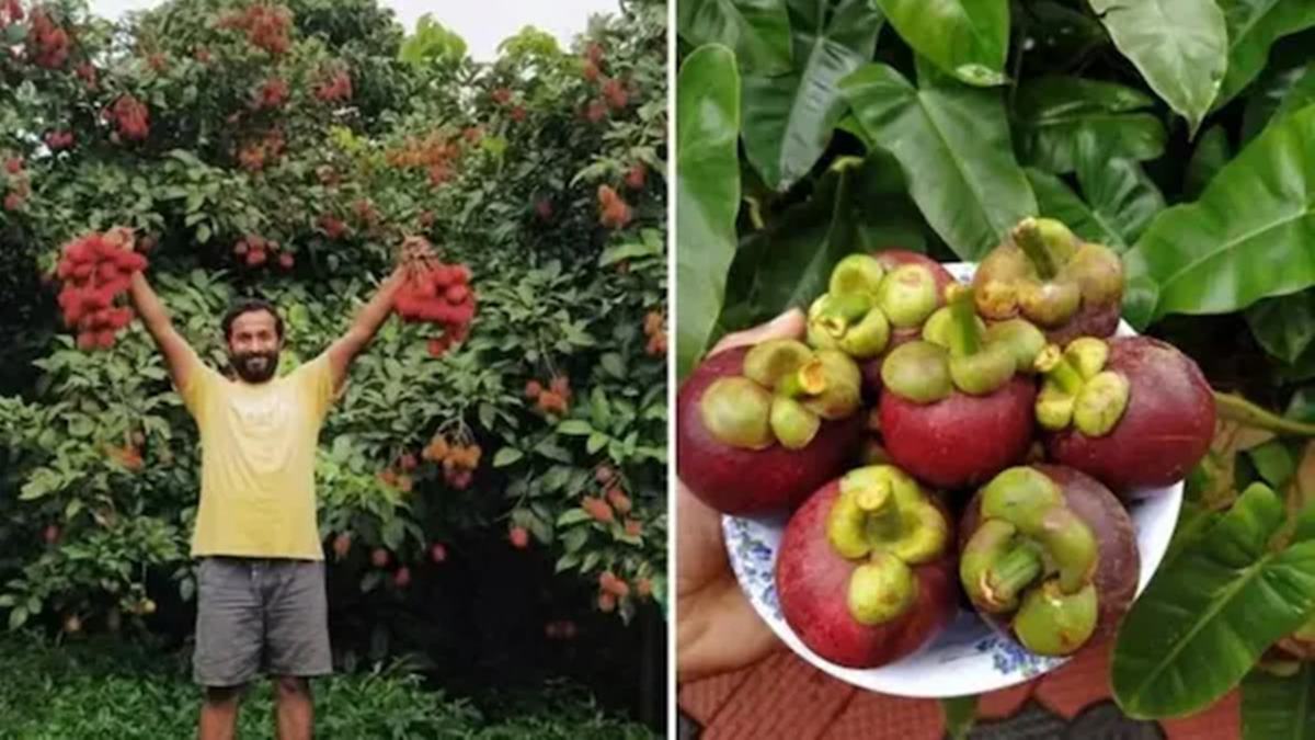 Bengaluru Techie Quit His High-Paying Corporate Job To Become A Farmer, Now Earns...