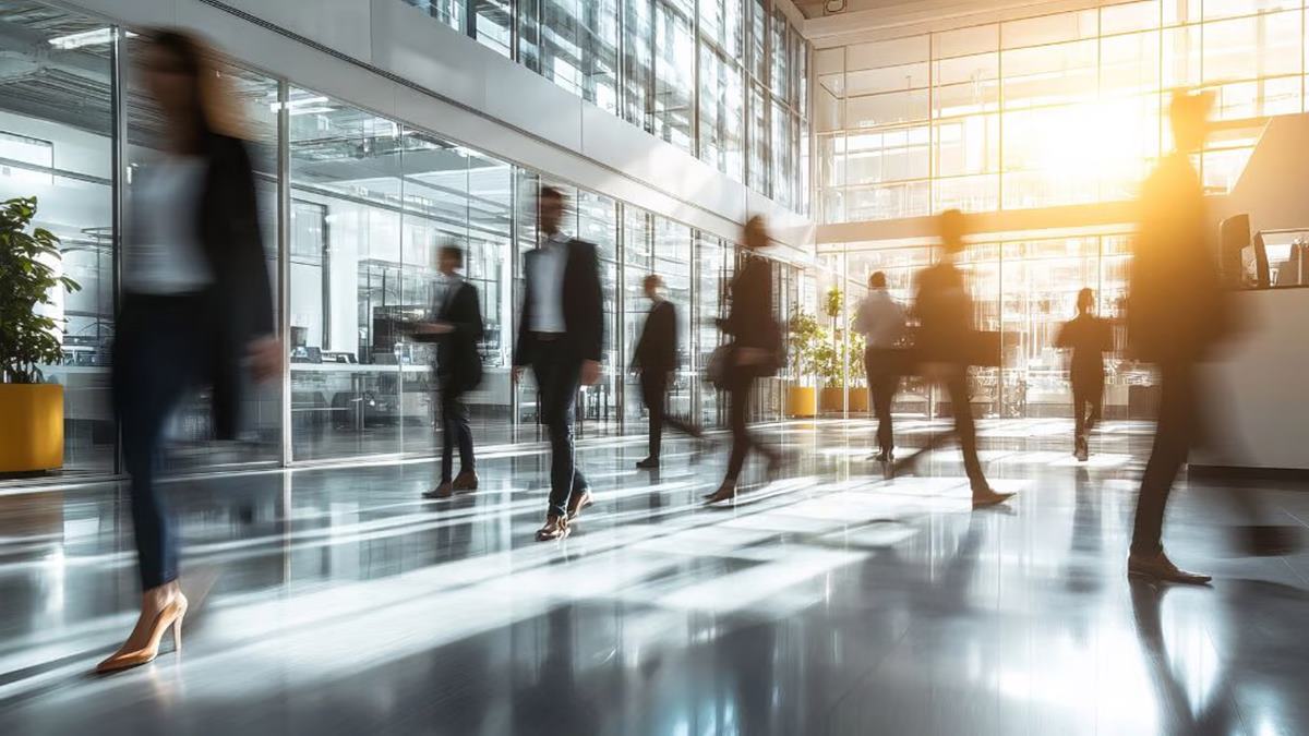 AI jobs apocalypse? The labor market data tells a different story