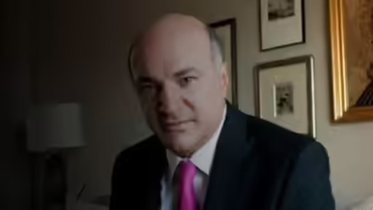 Canadian billionaire Kevin O'Leary on AI taking jobs: 'Everybody's hysteria about losing jobs' is probably true, but...